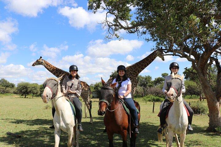 Horseback Safari Adventure in Hartbeespoort from Johannesburg