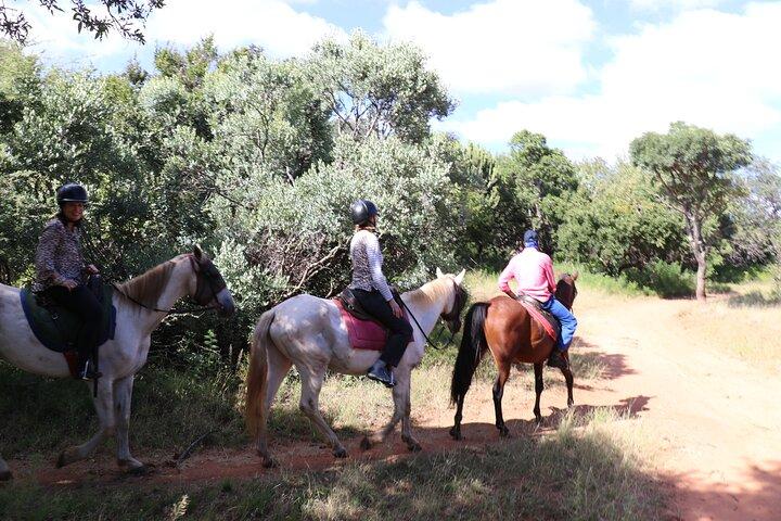 Horseback Safari Adventure in Hartbeespoort from Johannesburg