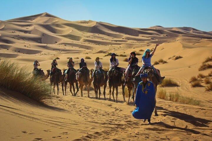 3 - Day Sahara Desert Tour: Camel Trek & Desert Camp from Marrakech