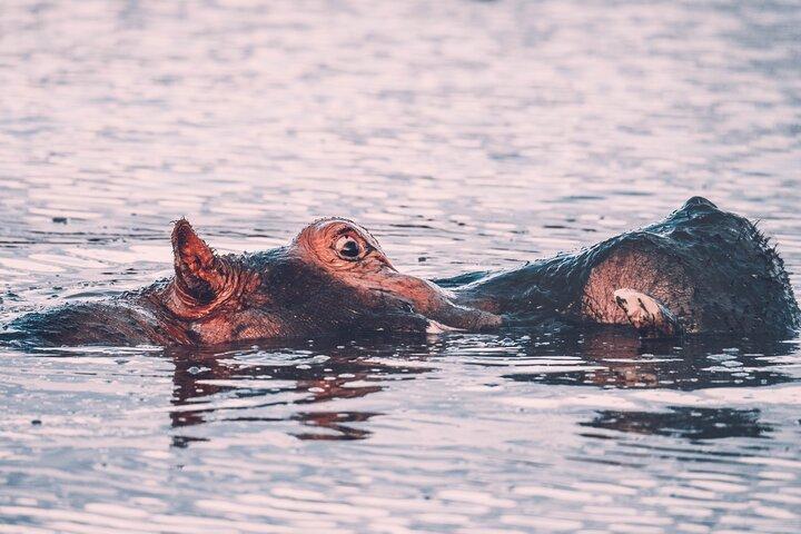 3 Days Shared Group Safari Tanzania