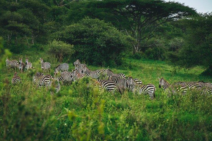 3 Days Shared Group Safari Tanzania