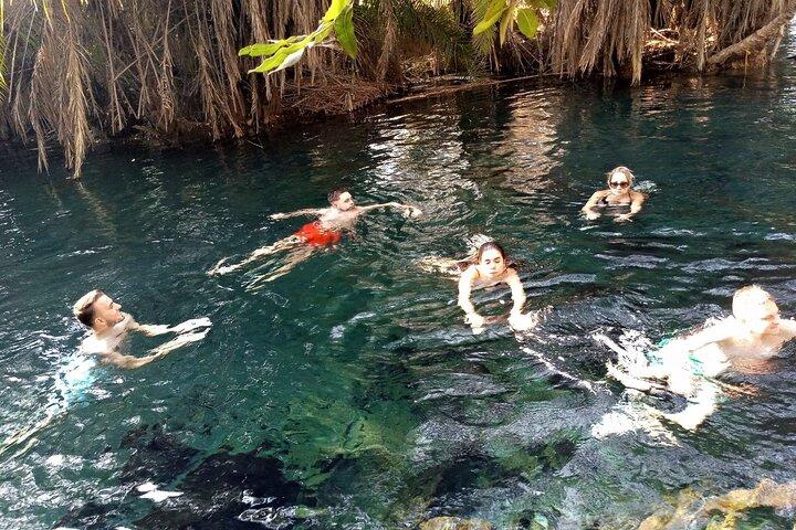 Full-Day Private Tour in Materuni and Kikuletwa