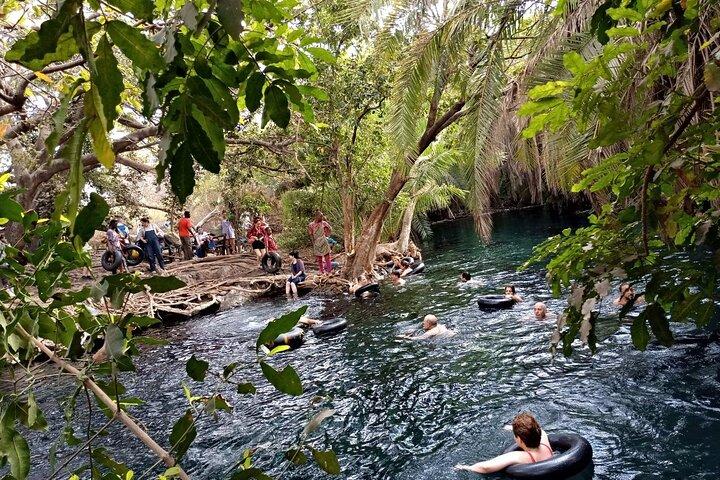Full-Day Private Tour in Materuni and Kikuletwa