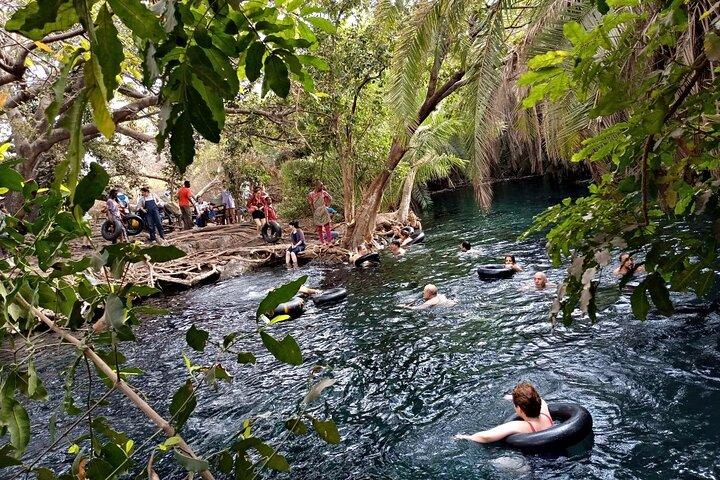 Full-Day Private Tour in Materuni and Kikuletwa
