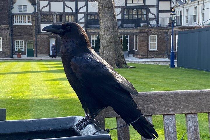 The Tower of London - Small Group Tour with a Local Expert