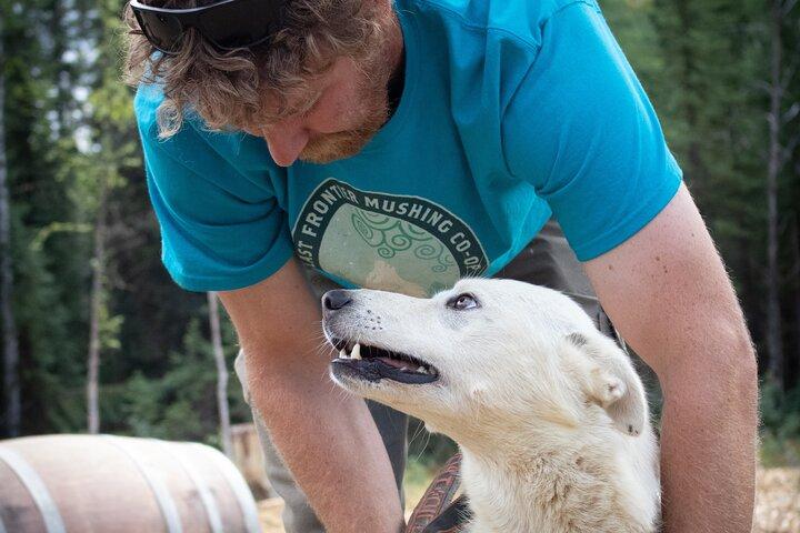 Fairbanks Sled Dog Mushing Cart Ride & Kennel Tour