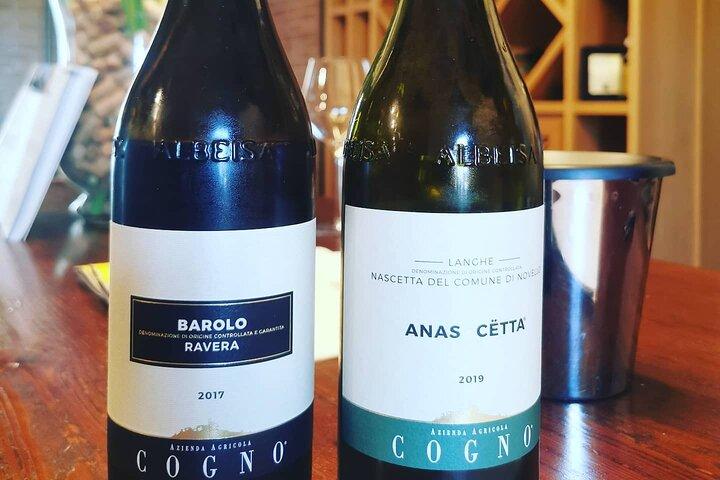 Barolo&Barbaresco Wine Experience with a Local Winemaker / Torino