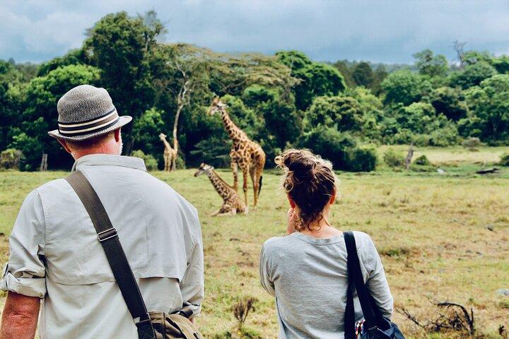 Private Day Trip to Arusha National Park with a Walking Safari