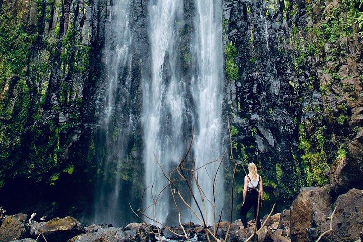 Private Day Trip to Materuni Waterfall and Coffee Tour