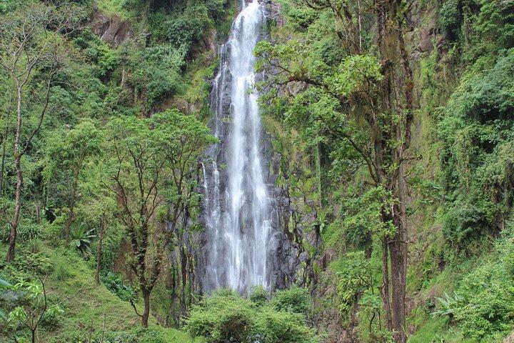 Private Day Trip to Materuni Waterfall and Coffee Tour