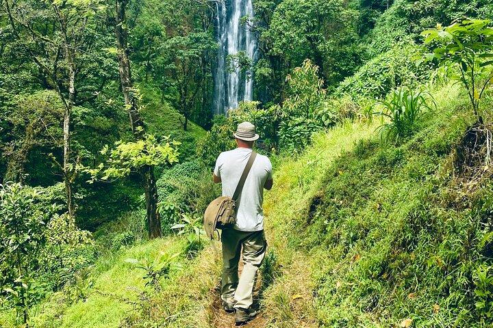 Private Day Trip to Materuni Waterfall and Coffee Tour