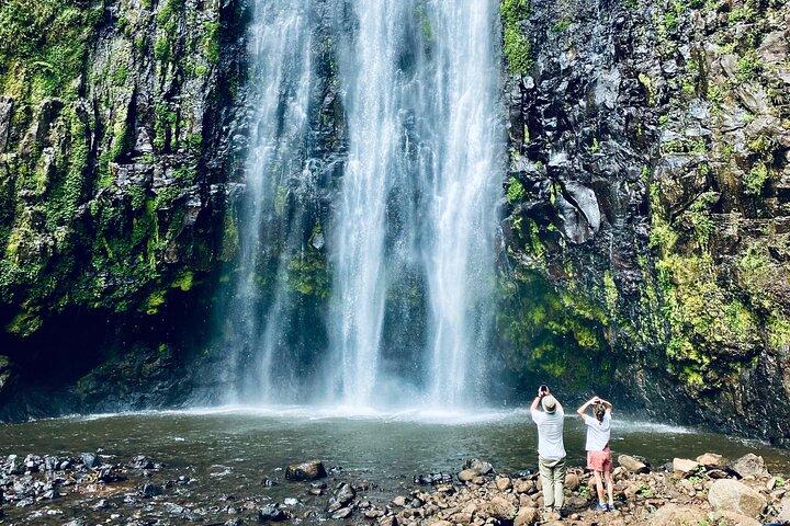 Private Day Trip to Materuni Waterfall and Coffee Tour