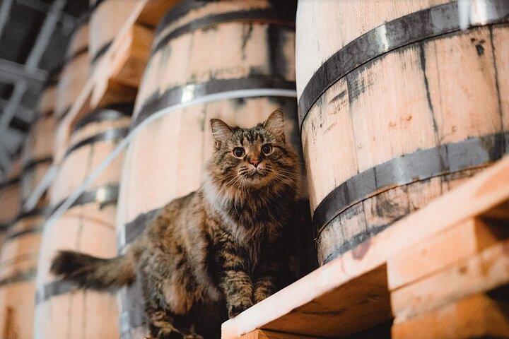 Nelson's Green Brier Distillery Guided Tour with Tastings
