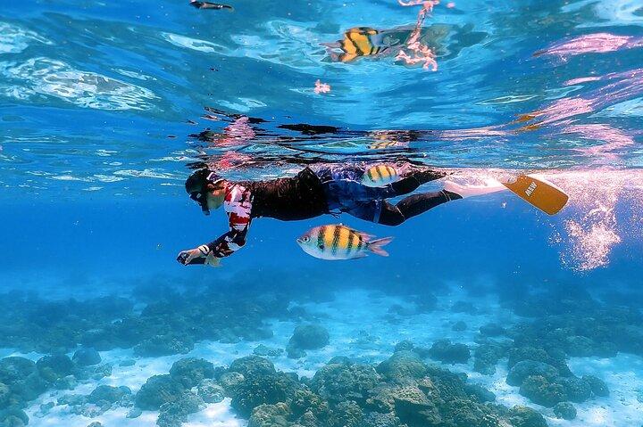 3-Island Speedboat Tour: Racha Noi, Racha Yai & Maiton