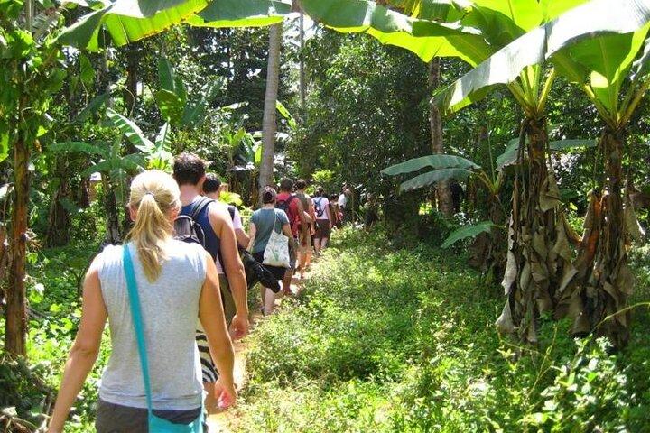 Zanzibar Spice Tour & Cooking Class