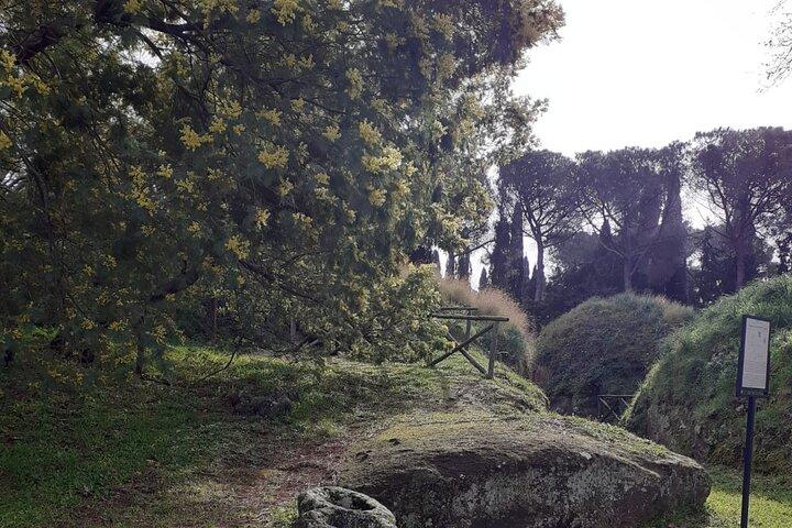 Full-Day Private Tour in Etruscan City of Cerveteri