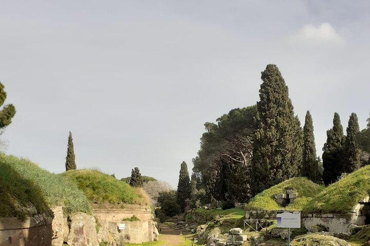 Full-Day Private Tour in Etruscan City of Cerveteri