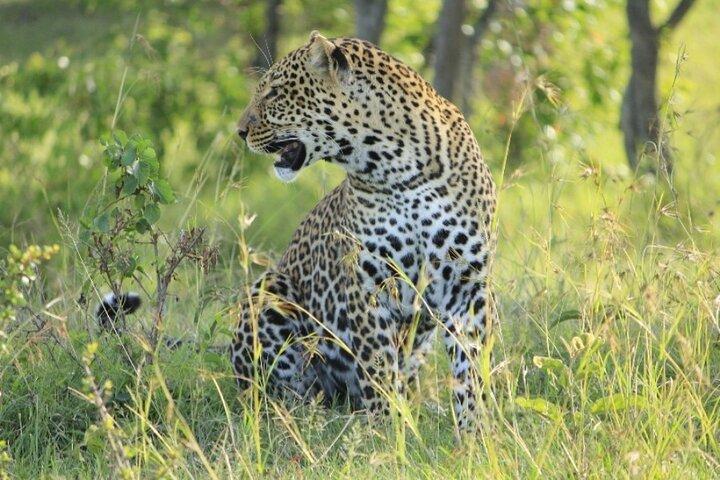 3-Day Masai Mara Group Joining Safari Adventure
