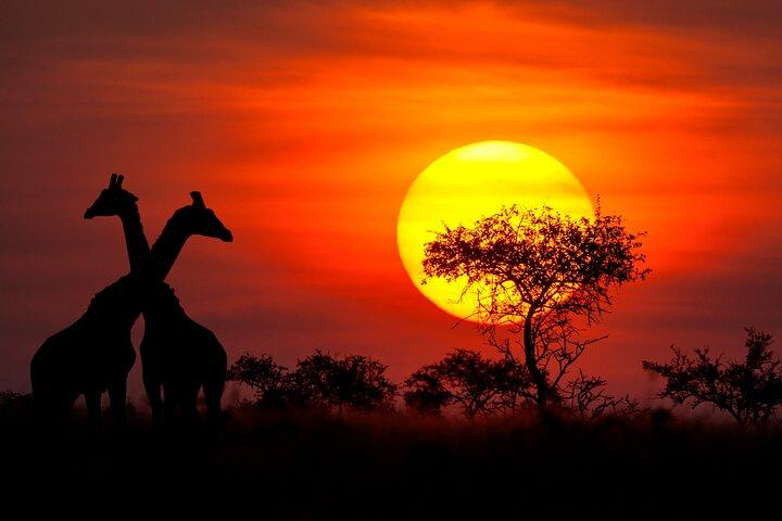 6 Days Private Tour to The Great Wildebeest Migration Calving Season
