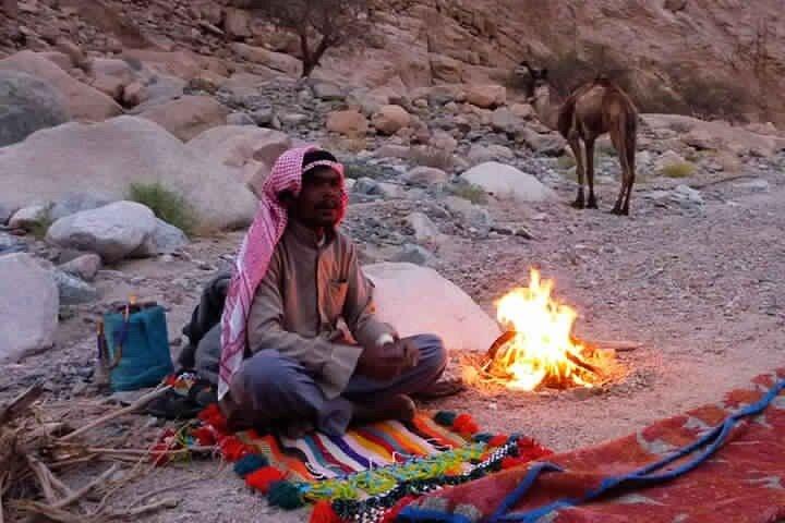 Camel riding and Bedouin dinner and Stargazer from Sharm el Sheikh
