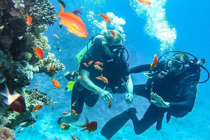 Discover Scuba Diving In Dahab