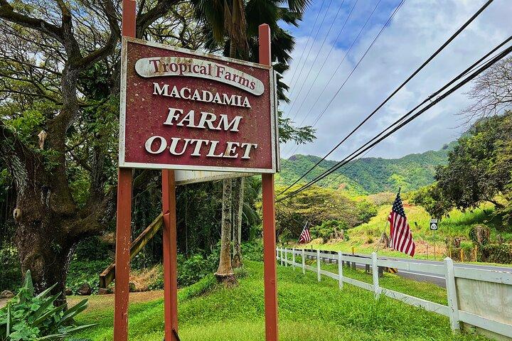 Oahu Island Experience feat the North Shore (Small Group Tour)