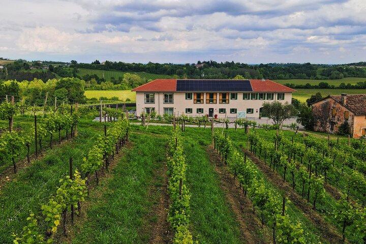 Unconventional Prosecco Tasting with Stunning View on Vineyards