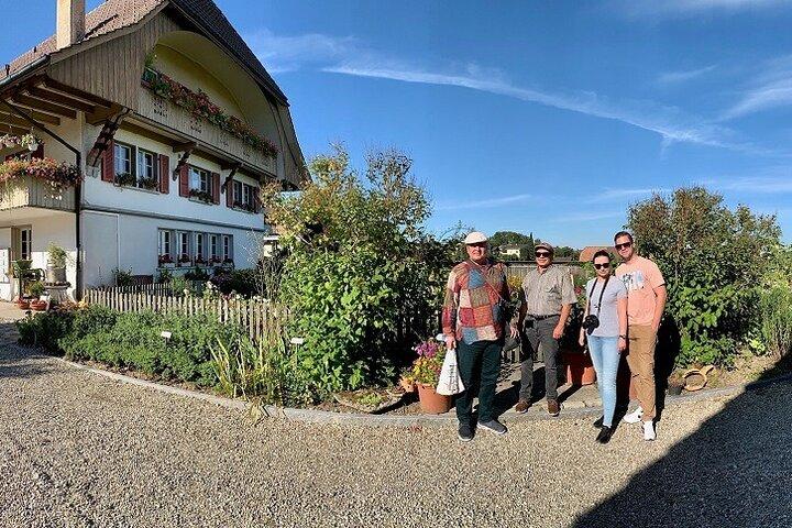 Bern Small Group Day Trip from Zurich Including Cheese Tasting