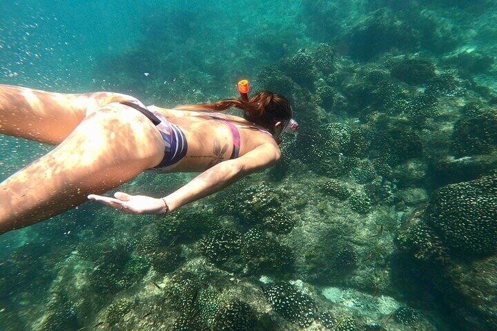 Luxury Snorkeling Tour in Cabo San Lucas