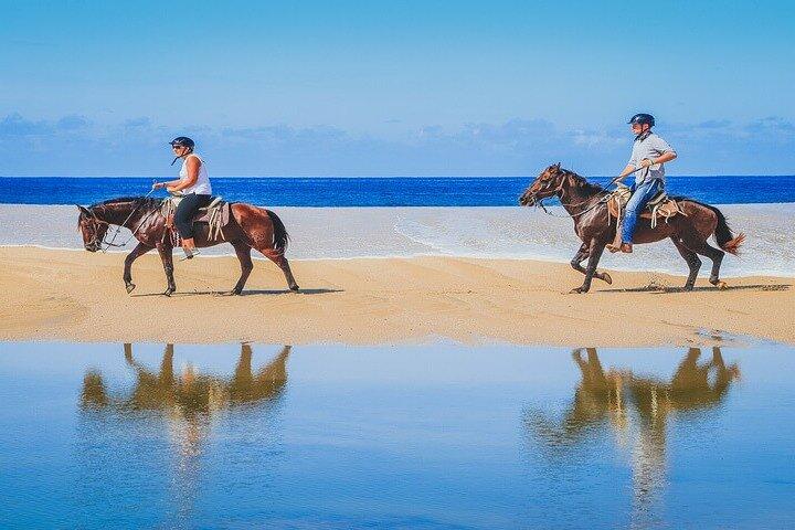 Private Horseback Riding in Cabo San Lucas