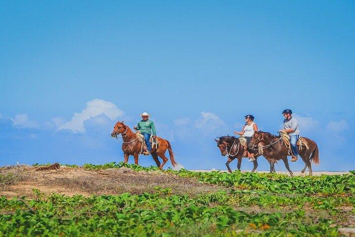 Private Horseback Riding in Cabo San Lucas