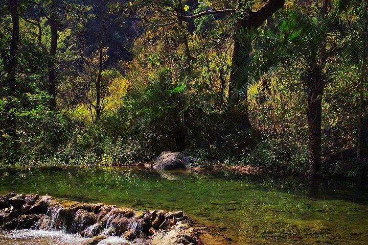Moderate Himalayan Treks Near Rishikesh From Delhi