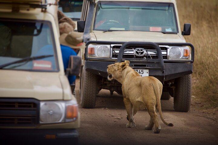 5 Days Safari Tour in Arusha