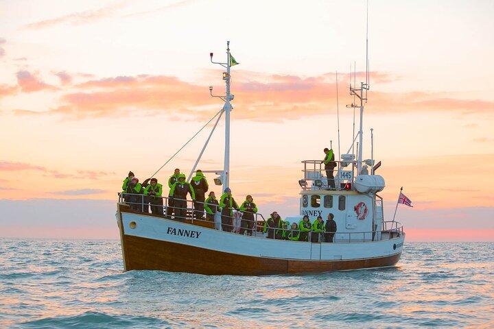 Whale Watching in Husavik
