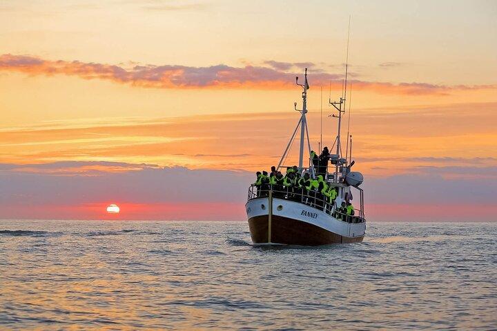Whales and Puffins Tour from Husavik
