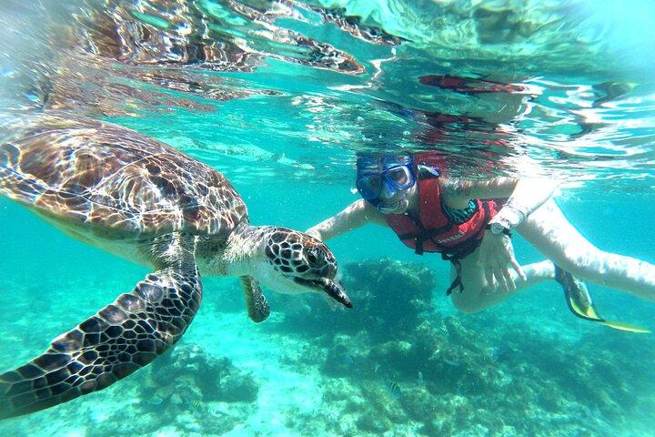 Tulum Ruins, Snorkeling with Turtles and Underground Caves