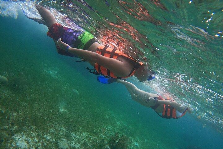Snorkeling Adventure in Puerto Morelos Includes snack, Water and Round Trip.