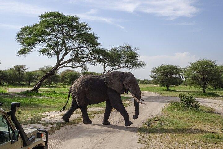 3 Days Safari Serengeti NP and Ngorongoro Crater