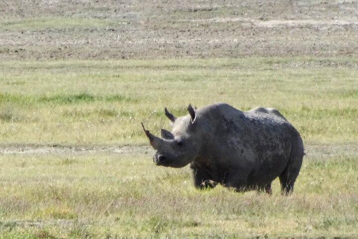 3 Days Safari Serengeti NP and Ngorongoro Crater