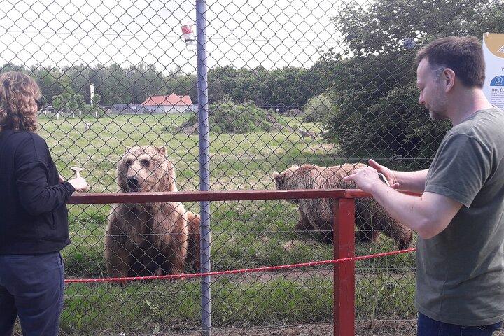 Visiting a Bear and Wolf Sanctuary