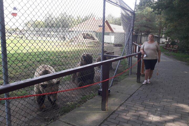 Visiting a Bear and Wolf Sanctuary