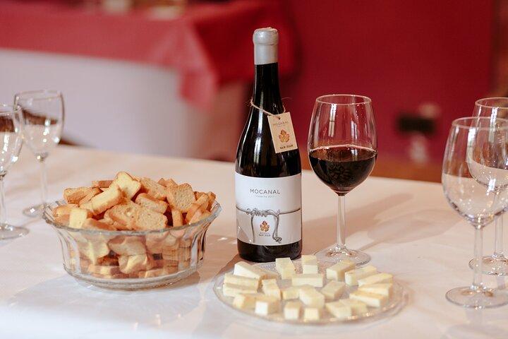 Winery Tour, Wine Museum, and Tasting in Gran Canaria