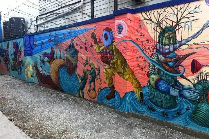 Private Art and Street Art Tour of New Orleans with Lunch