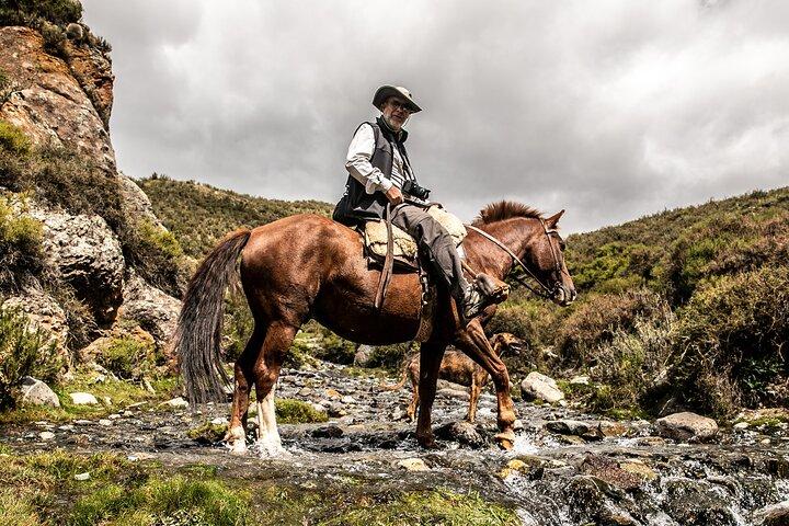 Horseback Riding in the Andes, gaucho experience & BBQ