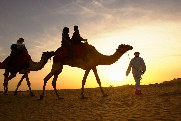 Camel riding and Bedouin dinner and Stargazer from Sharm el Sheikh
