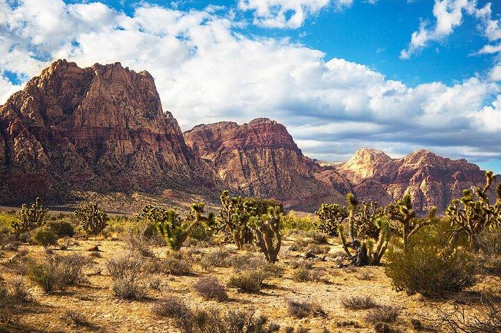 California Desert, Red Rock Views and Seven Magic Mountains