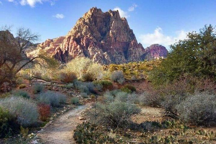 California Desert, Red Rock Views and Seven Magic Mountains