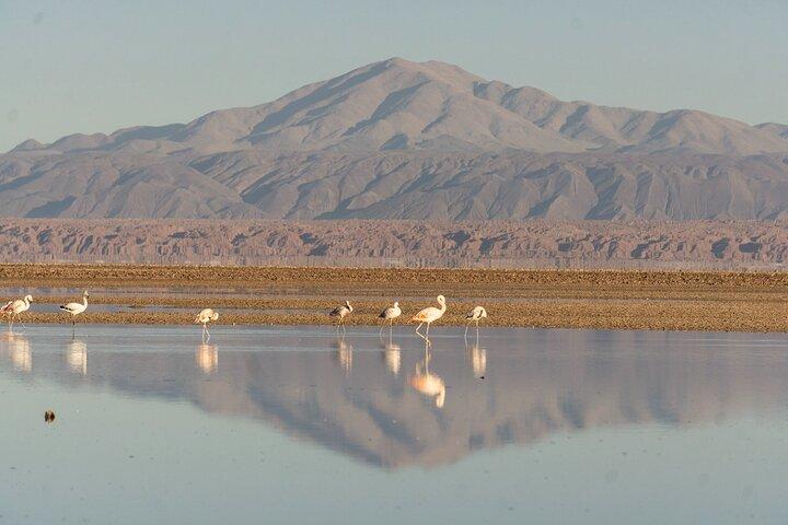Piedras Rojas + Altiplanic Lagoons and Salar de Atacama
