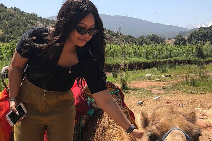 Atlas Mountains Imlil Village Kik Plateau Agafay desert Day Trip