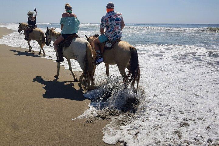 Boat Ride-Gentle Beach Beach Horseback Ride - Crocs - Turtles